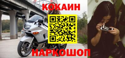 прущие грибы Гудермес