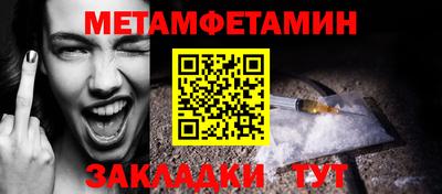 прущие грибы Гудермес