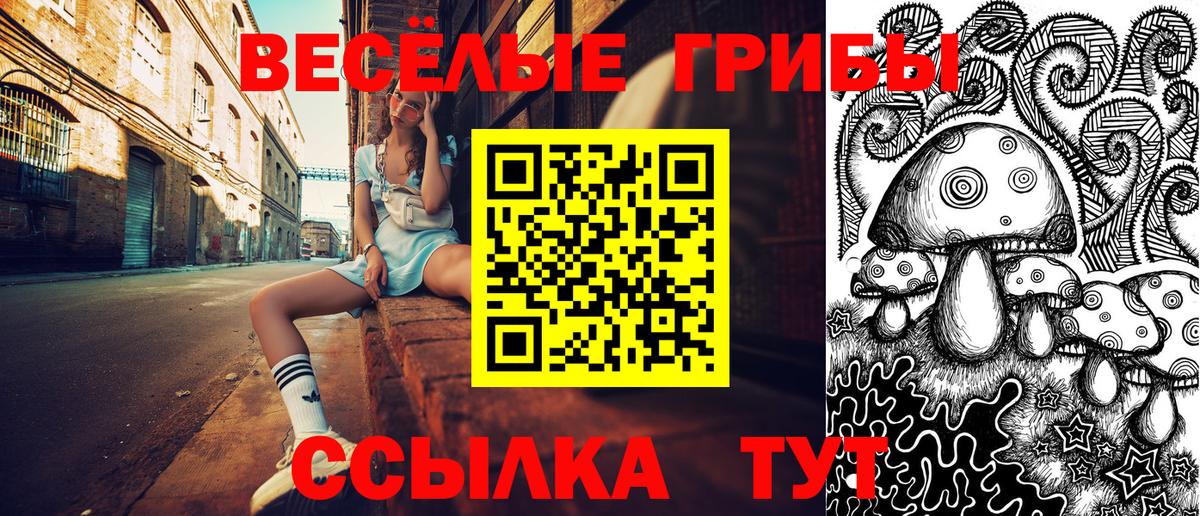 Богданович  Псилоцибиновые грибы Magic Shrooms  даркнет сайт  Вход с VPN 