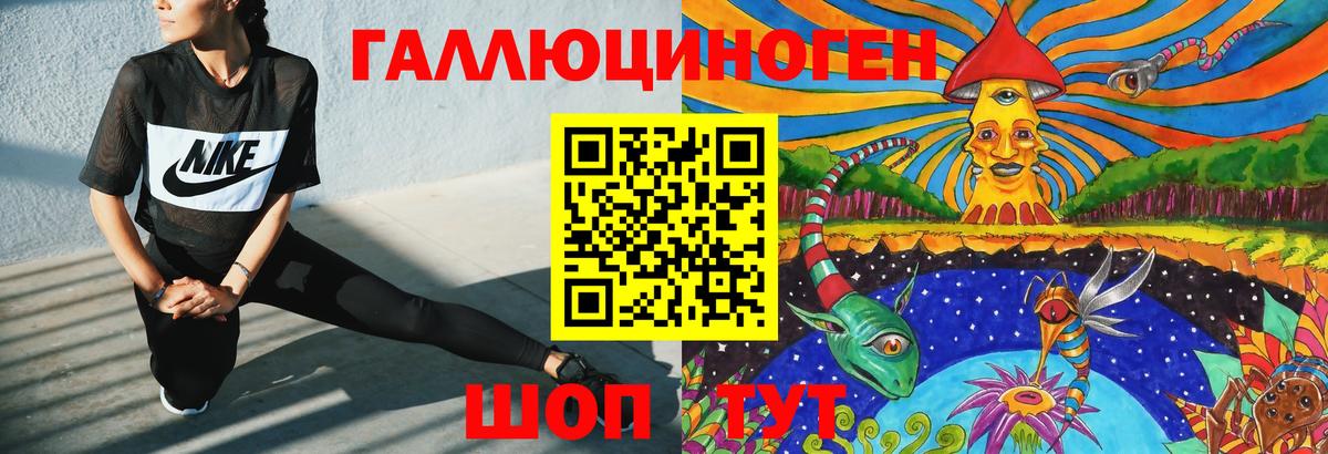 Псилоцибиновые грибы Psilocybine cubensis Богданович
